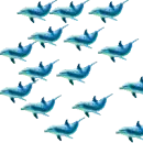 dolphin