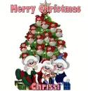 chrissi