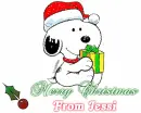 Jessi
