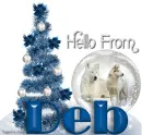 Winter wolves - Deb