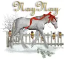 Beautiful Winter Hose - NayNay