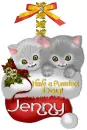 Cute Kittens - Jenny