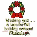 Shakela - Wonderful Holiday Season