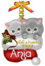 Cute Kittens - Ania