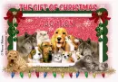 The Gift Of Christmas