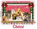 Chrissi