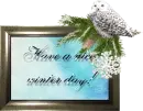 Have a nice winter day!