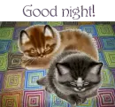 Good night!