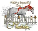 Christmas Horse - Shakela
