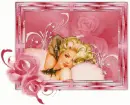 Pink Rose Beauty