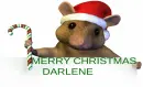 MERRY CHRISTMAS DARLENE