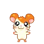 HM #001