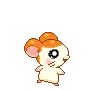 HM #004