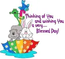 Have a Blessed Day