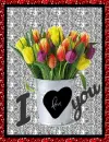 Flower Flower