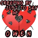 Beetle Heart ~ Owen