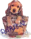 DARLENE