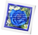blue flowers