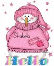 Hello Snowman-Shakela