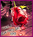 have a nice day 