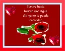 red flowers