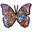 butterfly cute