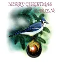 MERRY CHRISTMAS DARLENE
