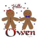 Owen - Gingerbread - Hello