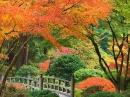 autumn background