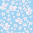 Background-Seamless