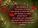 red flowers