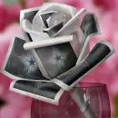 gray  flowers