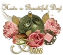 Pink roses - Fran