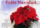 Feliz Navidad