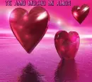 te amo