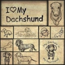 doxie background