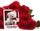 bear w-rosa-tammy