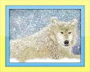 wolf in snow