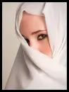 White Dream