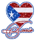 PRFLAGWITHTORIE
