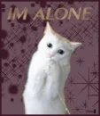 im alone