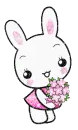 Bunny With Flowers