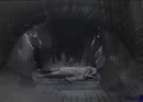 fatal frame