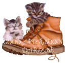 GOOD AFTERNOON 