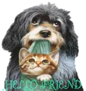 HELLO FRIEND 
