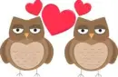 OWLS