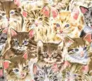 Cats - background