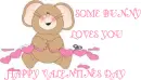 HAPPY VALENTINES DAY 