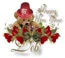 NY Bear - Deb