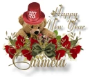 NY Bear - Carmela